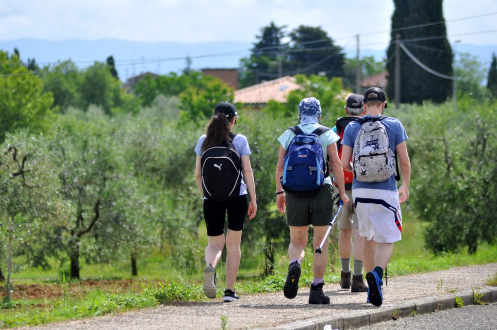 In cammino a San Gimignano
