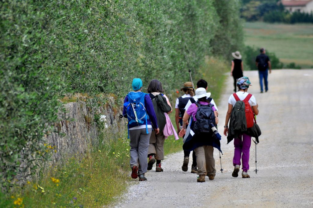 In cammino sulla Montagnola Senese