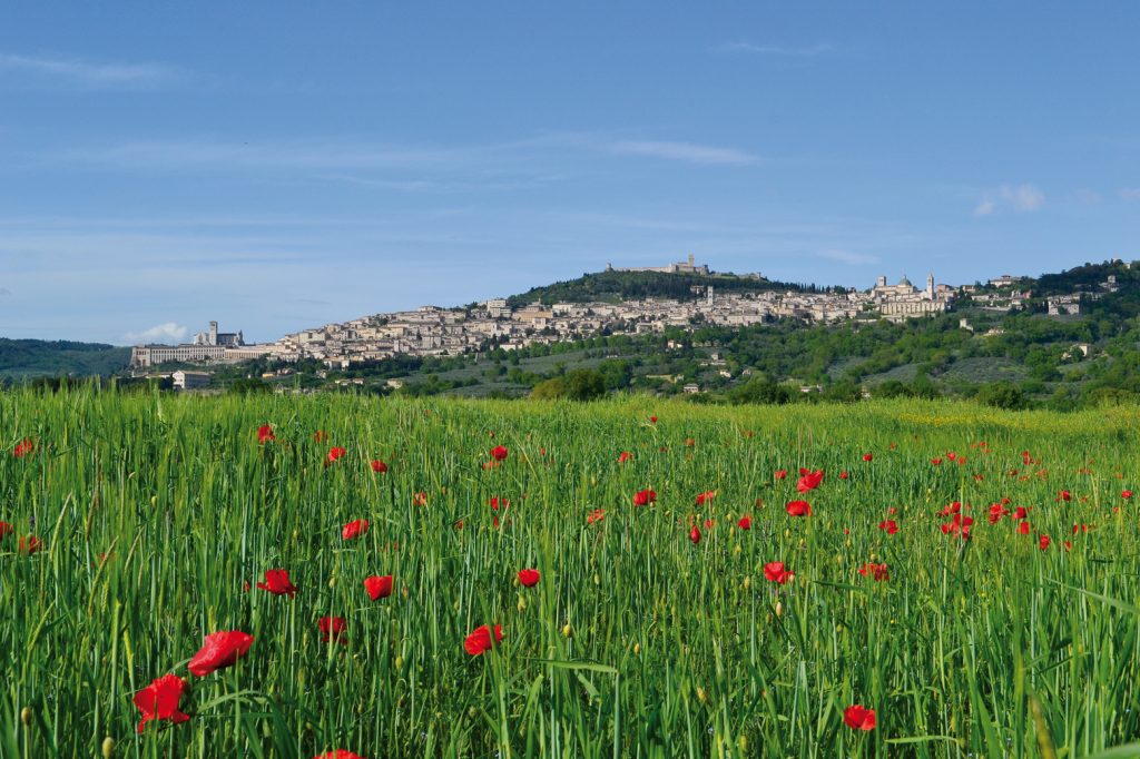 Italia coast to coast - Assisi - Foto Simone Frignani