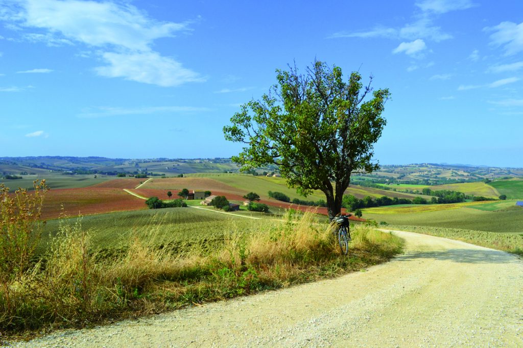 Italia coast to coast - Colline Marchigiane - Foto Simone Frignani