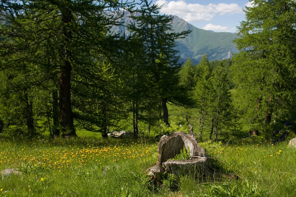Val Germanasca  - Foto Wikimedia Commons @Tolmachova1981