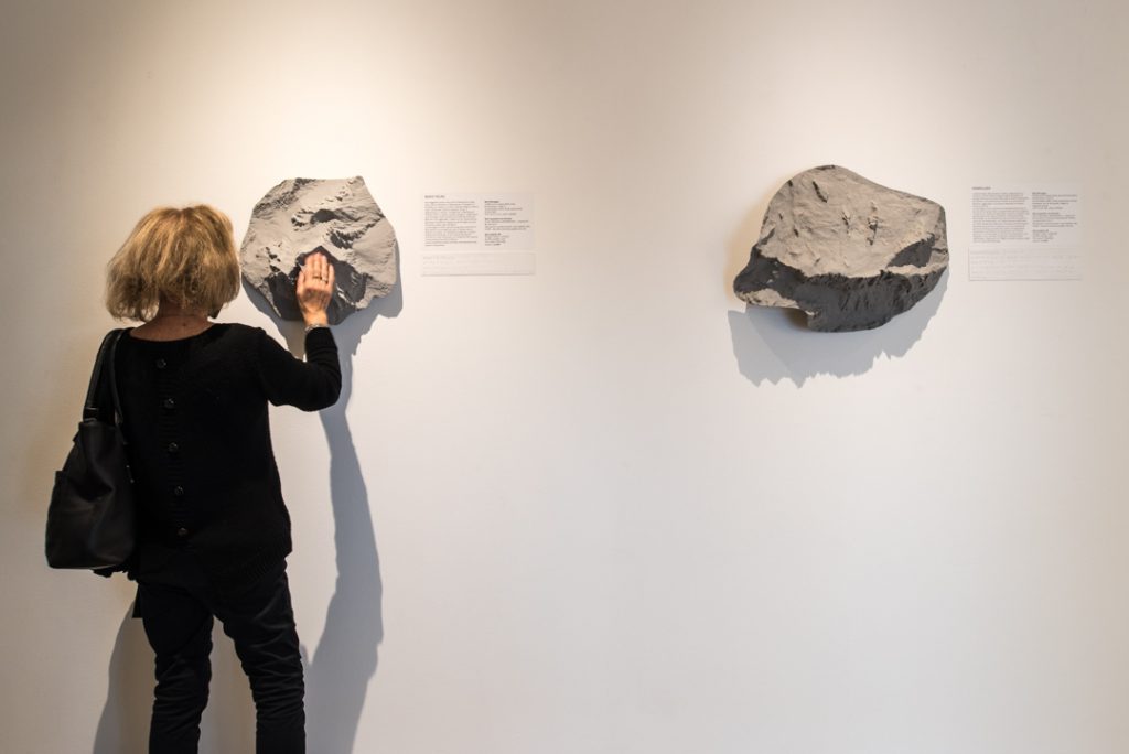 Territoriotipo, montagne di dati - Foto @Fabio Morassutto - PROSSIMI Srl Impresa Sociale ETS