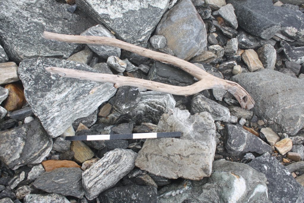 Ritrovamenti al Lendbreen Pass -  Credits Image: www.secretsoftheice.com