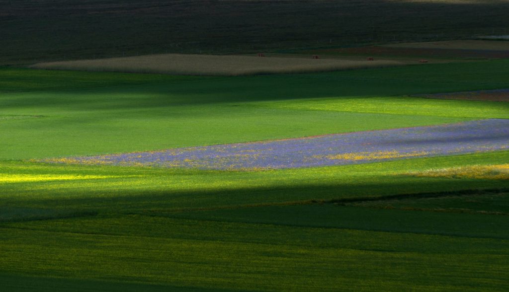 Sfumature nella Piana di Castelluccio - Foto Unsplash @Enrico Scarponi