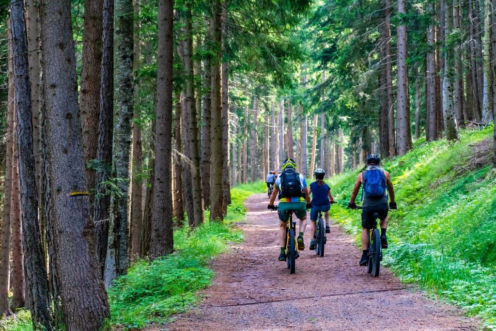 Gita in mountain bike