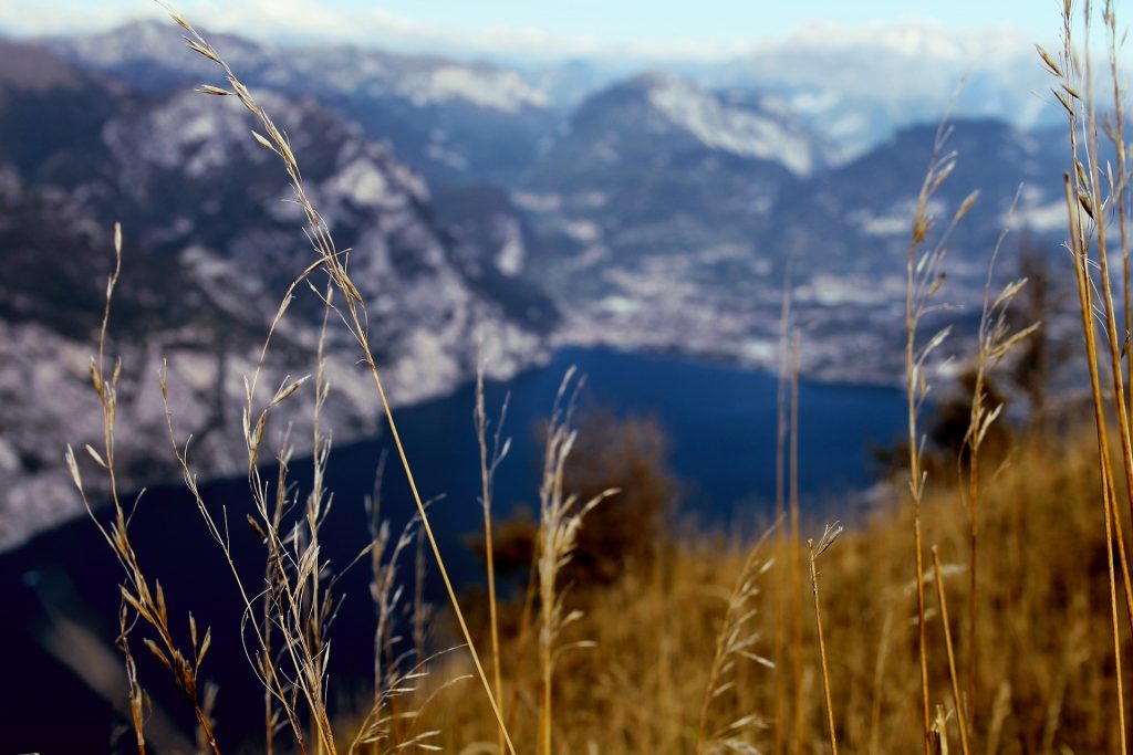 Monte Baldo - Foto Pixabay @k_michels