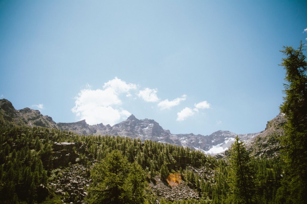 PNGP - Foto Unsplash @Riccardo Mion