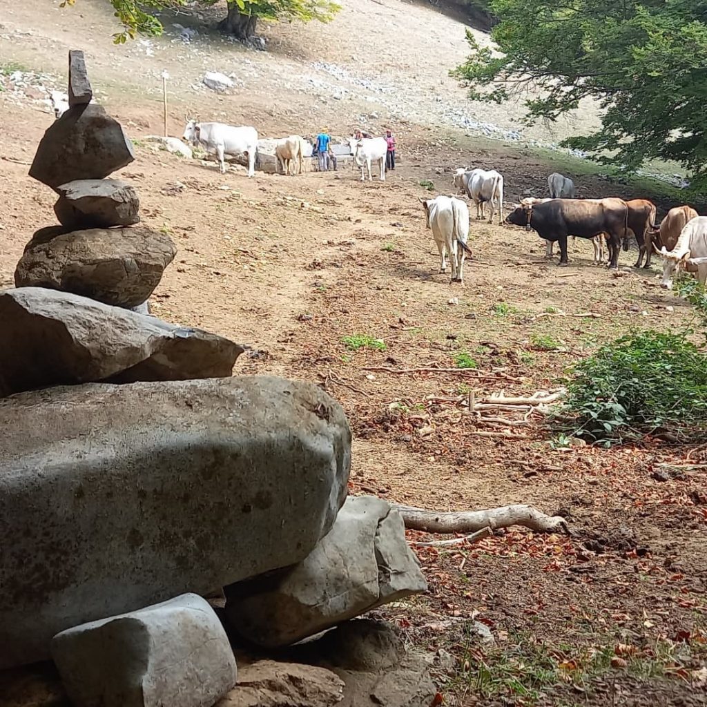 Tappa Sentiero italia CAI Castelsaraceno-Latronico - Foto Franco Tanzi