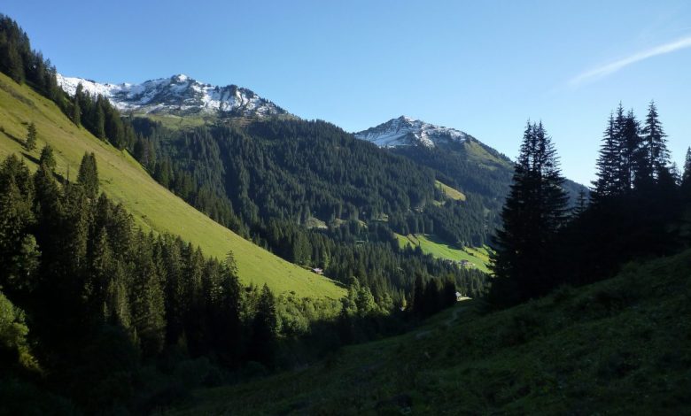 austria, sentiero, soccorso