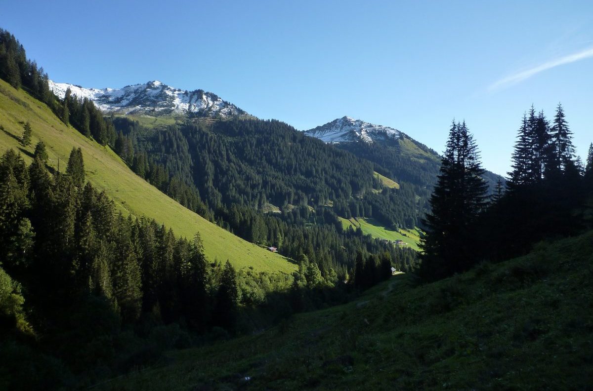 austria, sentiero, soccorso