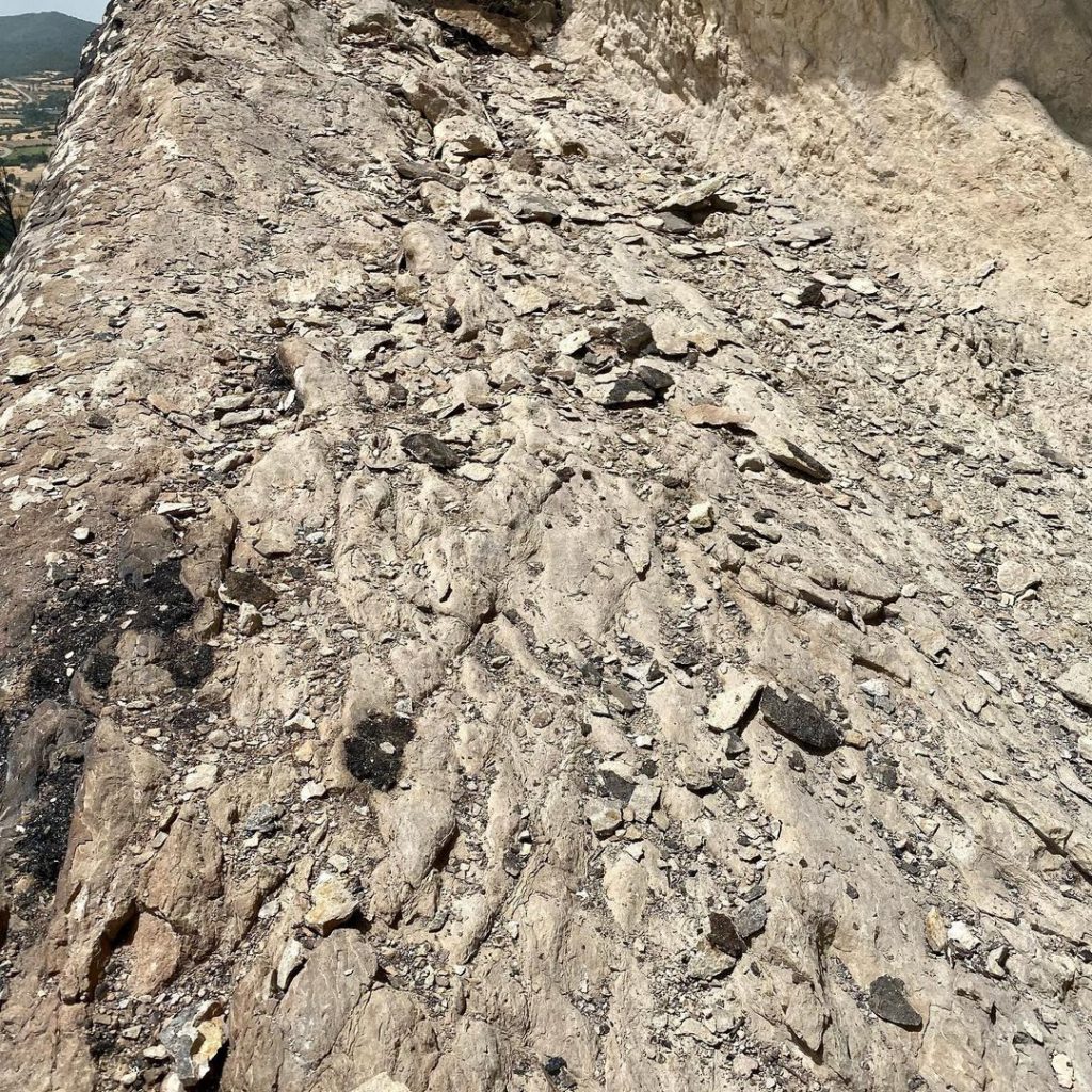 Foto Instagram Svana Bjarnason