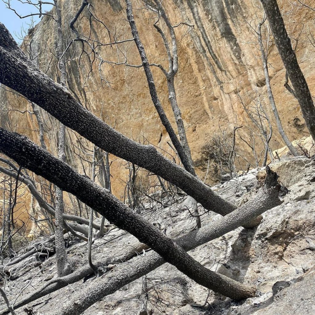 Foto Instagram Svana Bjarnason