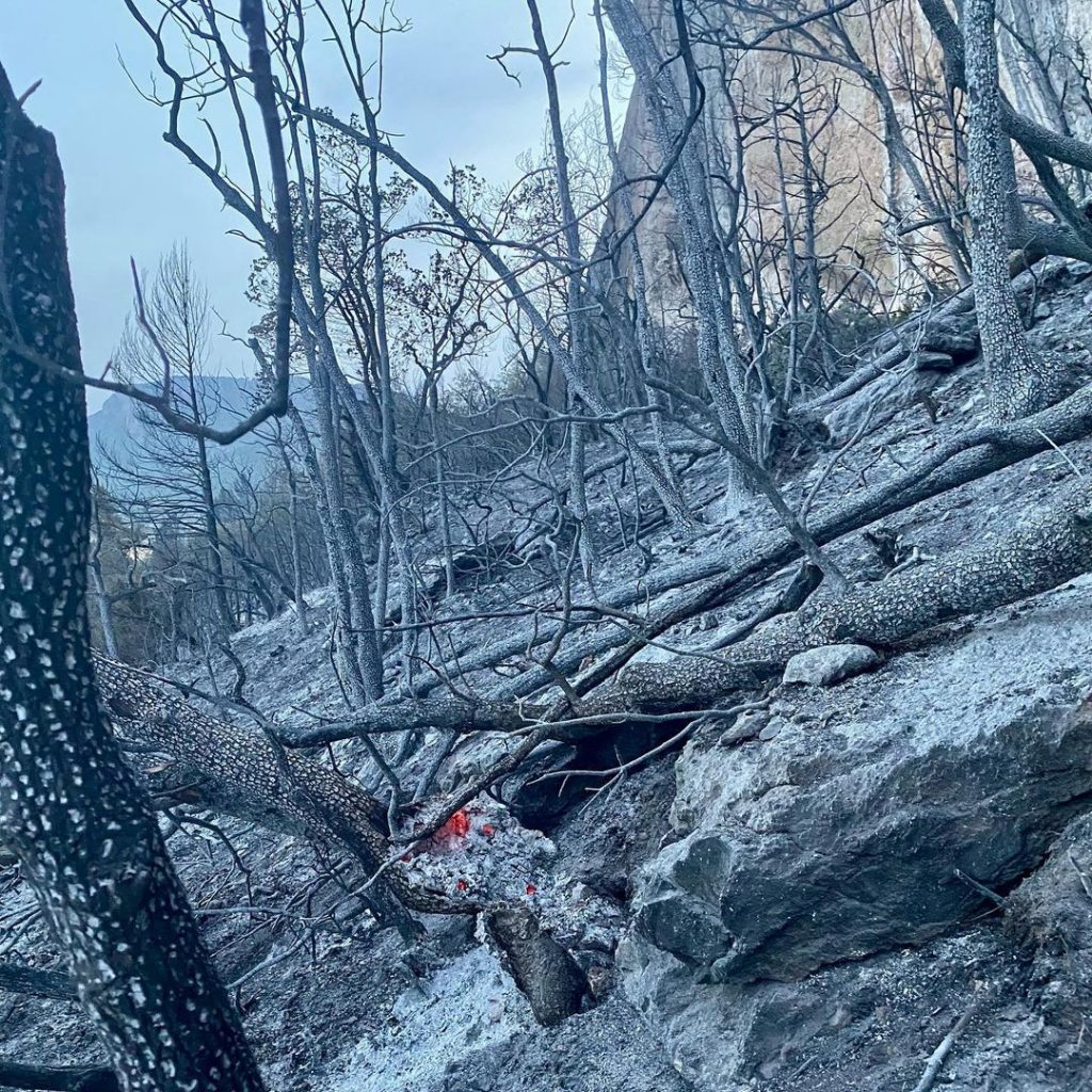 Foto Instagram Svana Bjarnason