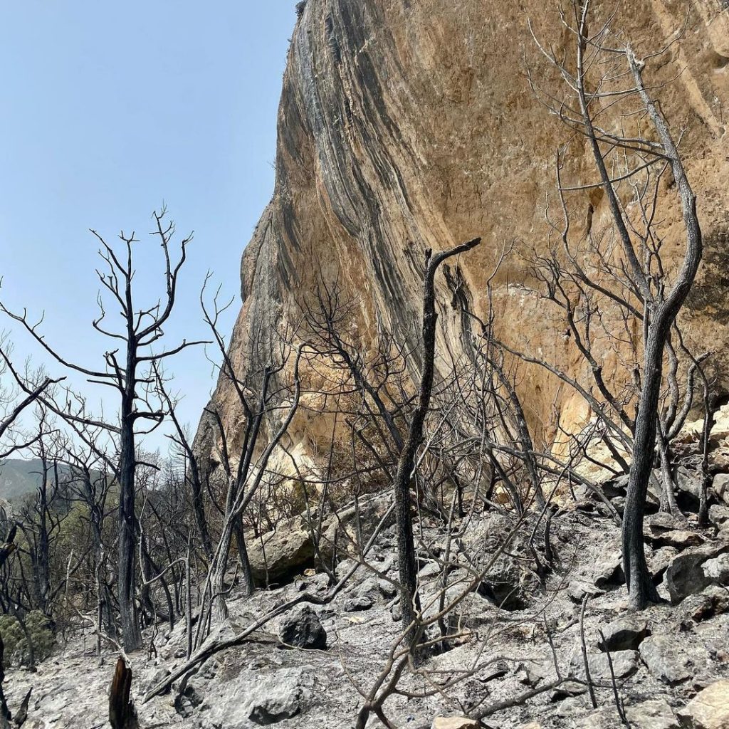 Foto Instagram Svana Bjarnason