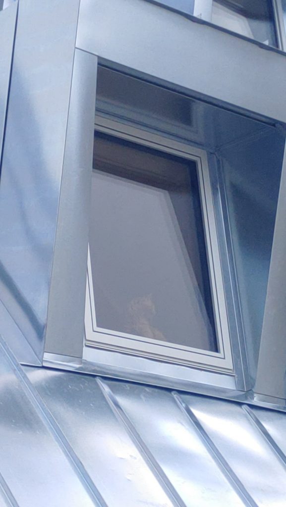 Foto FB Tam Alto Adige