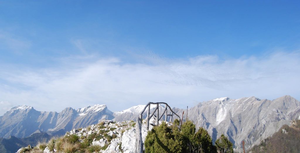 Foto FB Orto Botanico Alpi Apuane