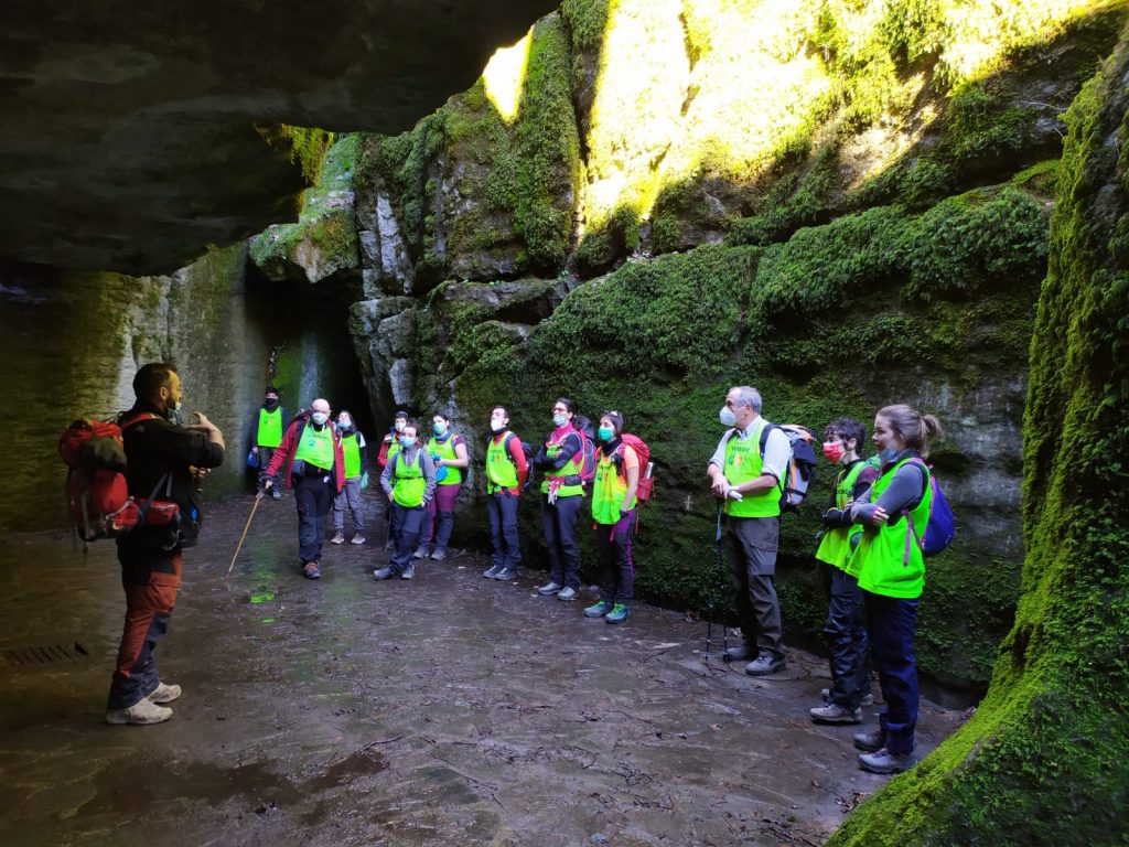 Volontariato nelle Foreste Casentinesi - Foto Andrea Gambassini