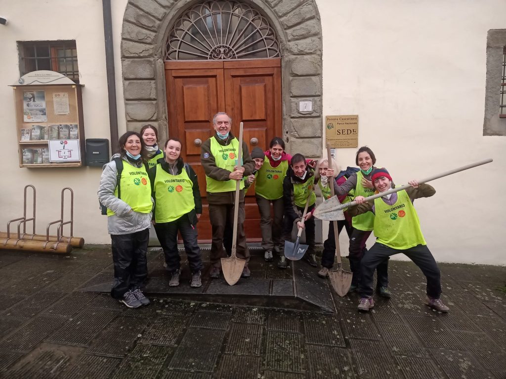Volontariato nelle Foreste Casentinesi - Foto Andrea Gambassini