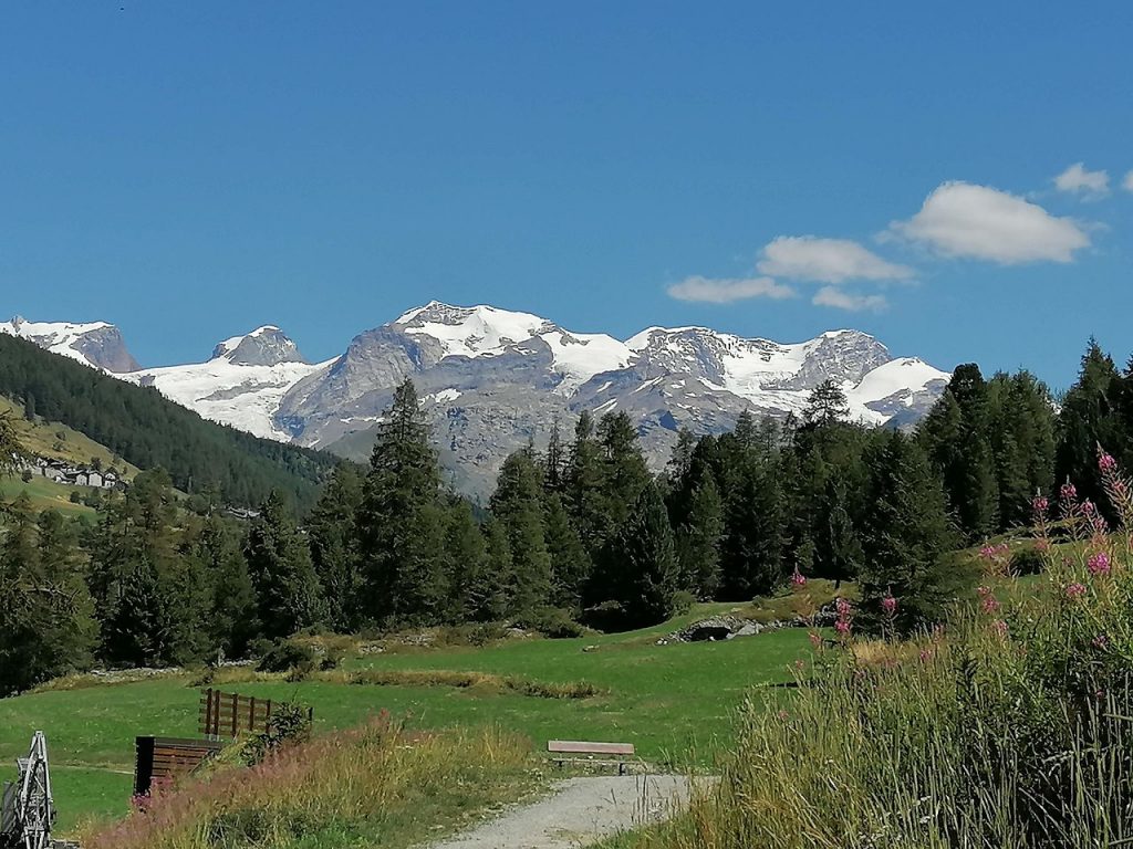 Monte Rosa da Pèriasc - Foto Wikimedia Commons @Capricornis crispus