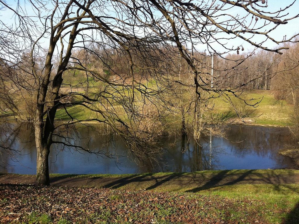 Parco Lambro - Foto Wikimedia Commons @Paolo Dagani