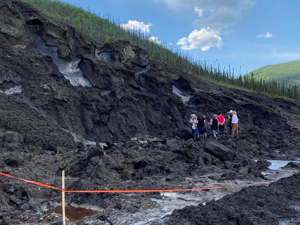 Il sito del ritrovamento - Credit: Government of Yukon