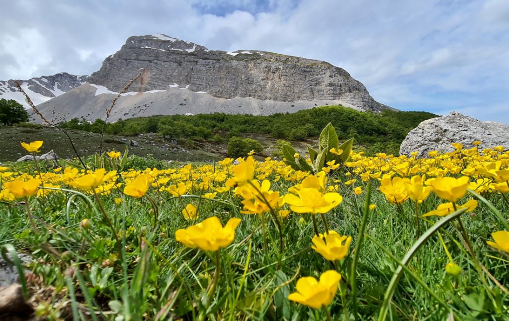 Primavera in Val di Teve