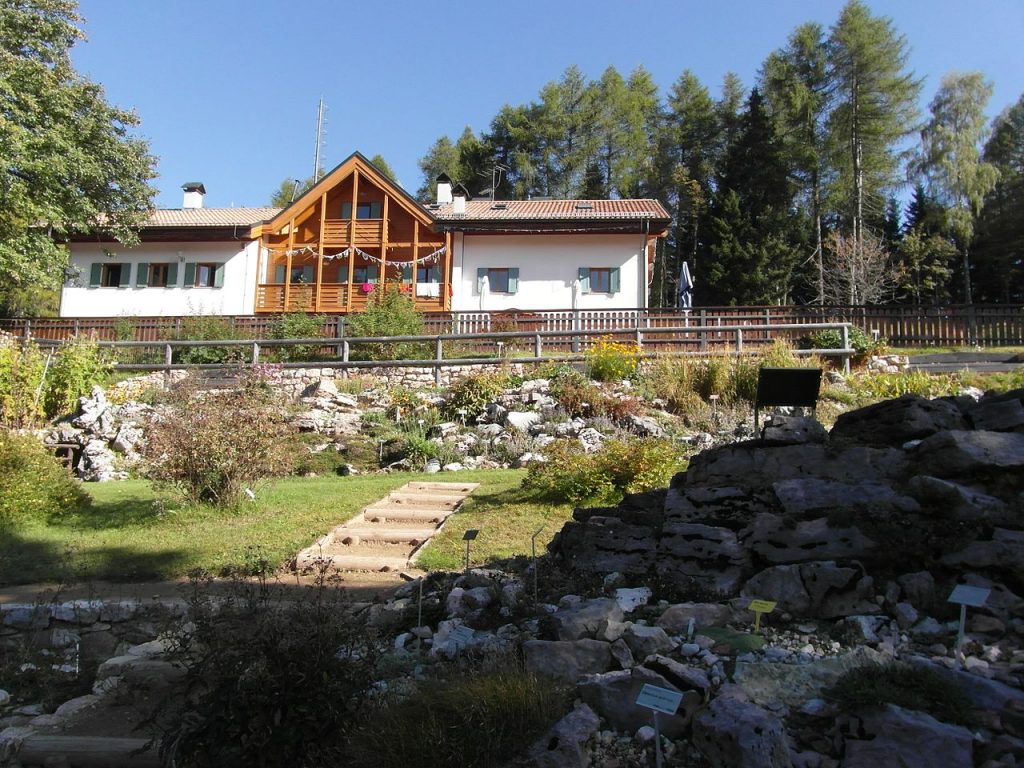 Giardino Botanico Alpino Viote - Foto Wikimedia Commons @Llorenzi