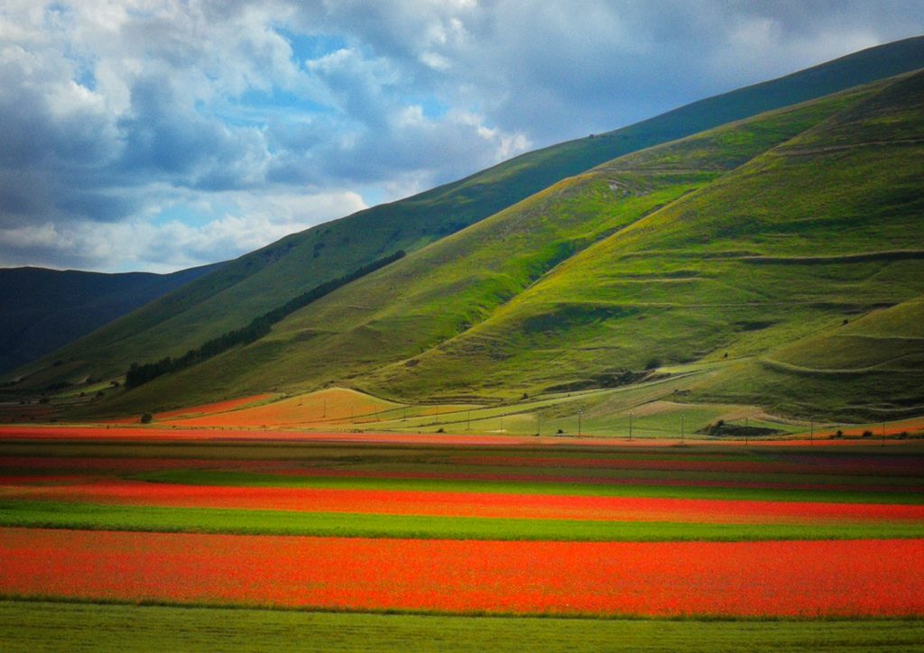 Piana in fiore - Foto Unsplash @Elena Sala
