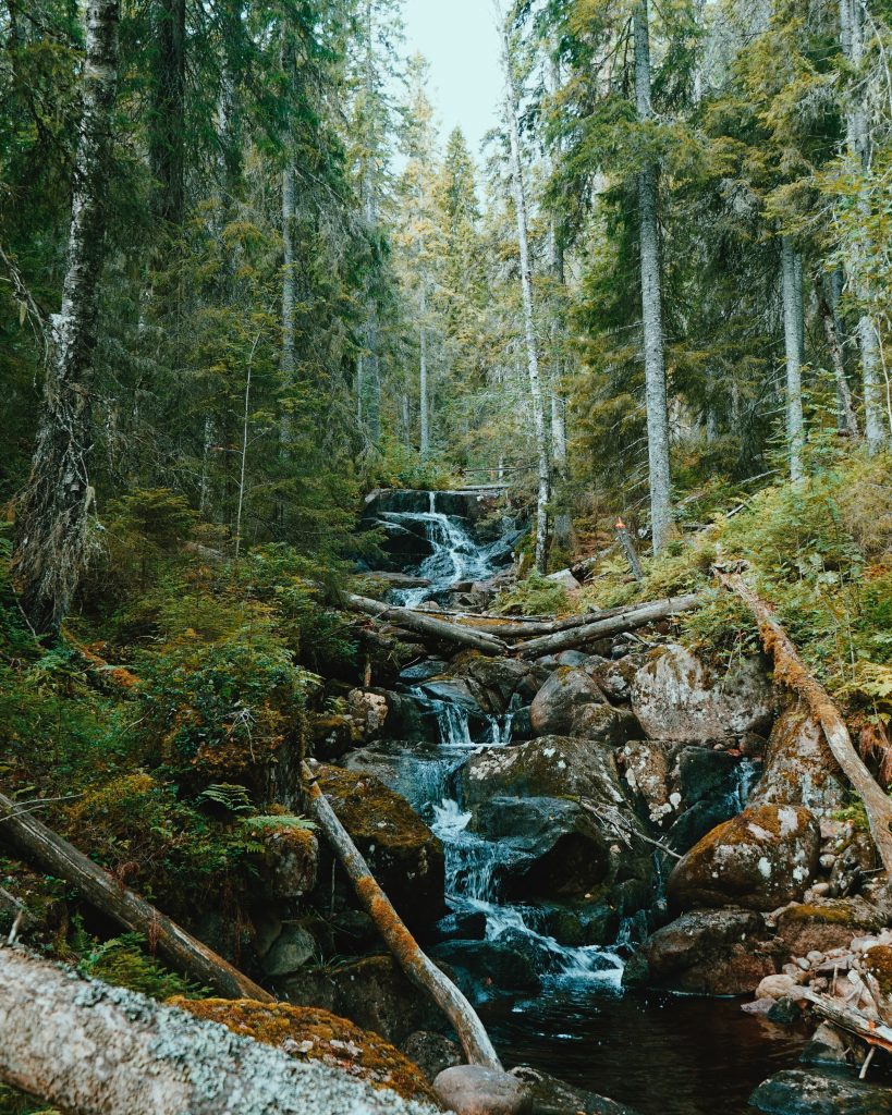 Svezia - Foto Unsplash @Oscar Nillson