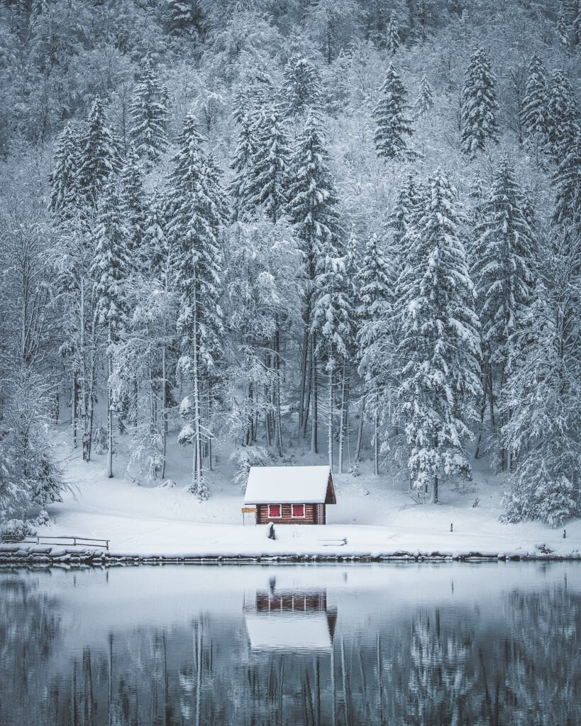 Friuli Venezia Giulia - Foto Pexels @Luca Chiandoni