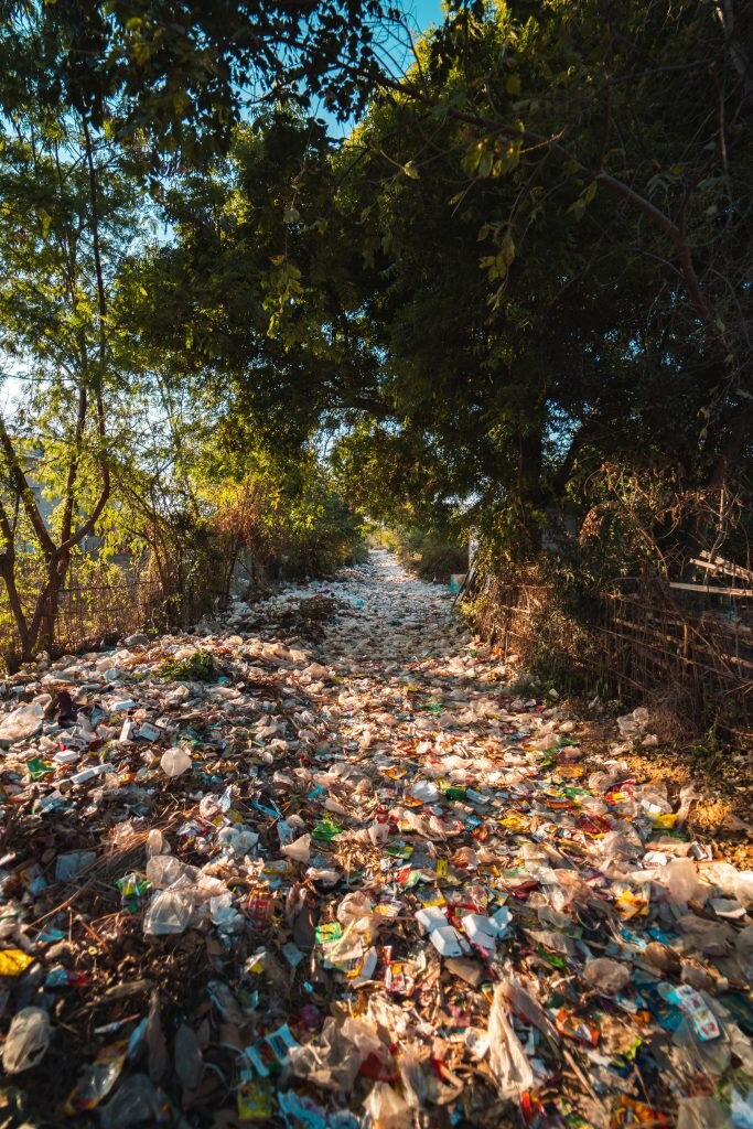 Rifiuti in natura - Foto Pexels @Stijn Dijkstra