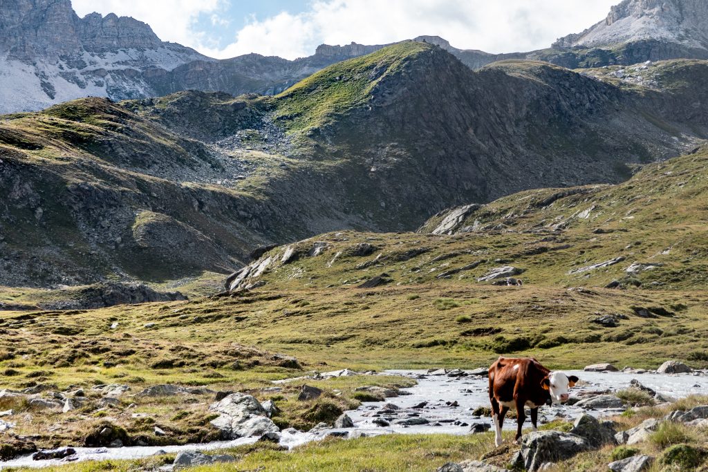 Vallone delle Cime Bianche, Monte Rosa - Foto Unsplash @Roby Allario