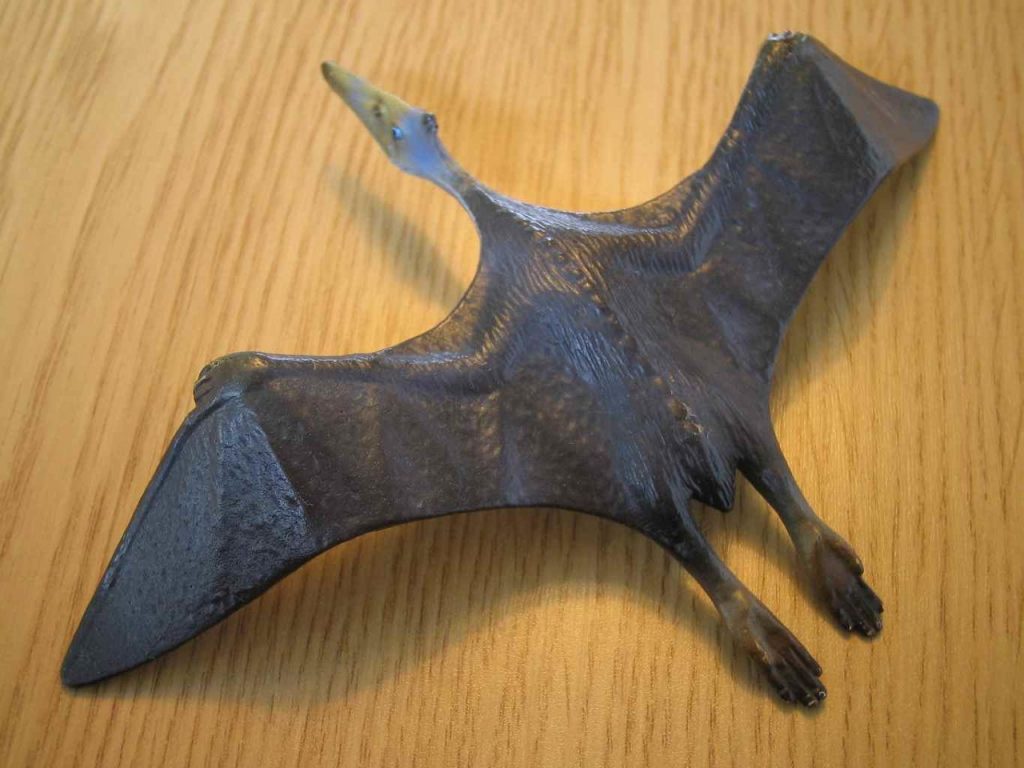 Ricostruzione di uno pterosauro - Foto Wikimedia Commons @Thomas Netsch