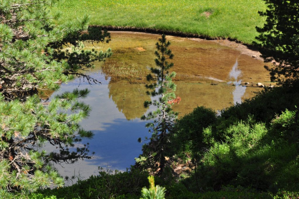 Alpe di Cisles, il Lech da Iman. Foto Stefano Ardito