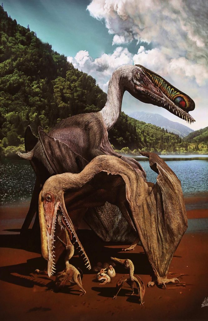 Pterosauri - Foto ANSA/EPA/MARCELO SAYAO