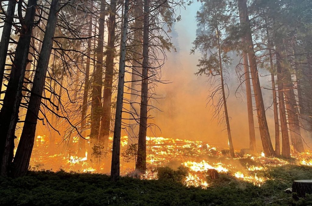 yosemite, incendio