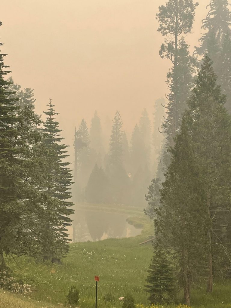 Washburn Fire - Foto ANSA EPA/NATIONAL PARK SERVICE / HANDOUT  HANDOUT EDITORIAL USE ONLY/NO SALES