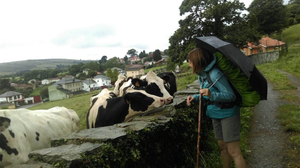 Foto di Daniela Cerati