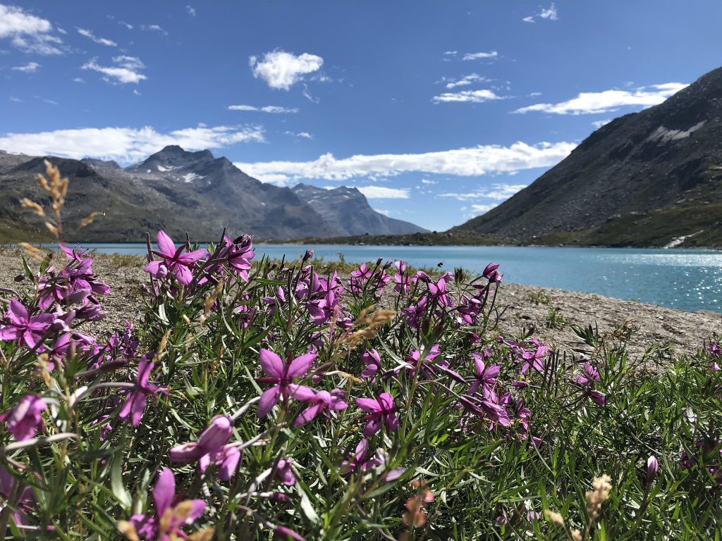 PNGP - Foto Wikimedia Commons @YOR74