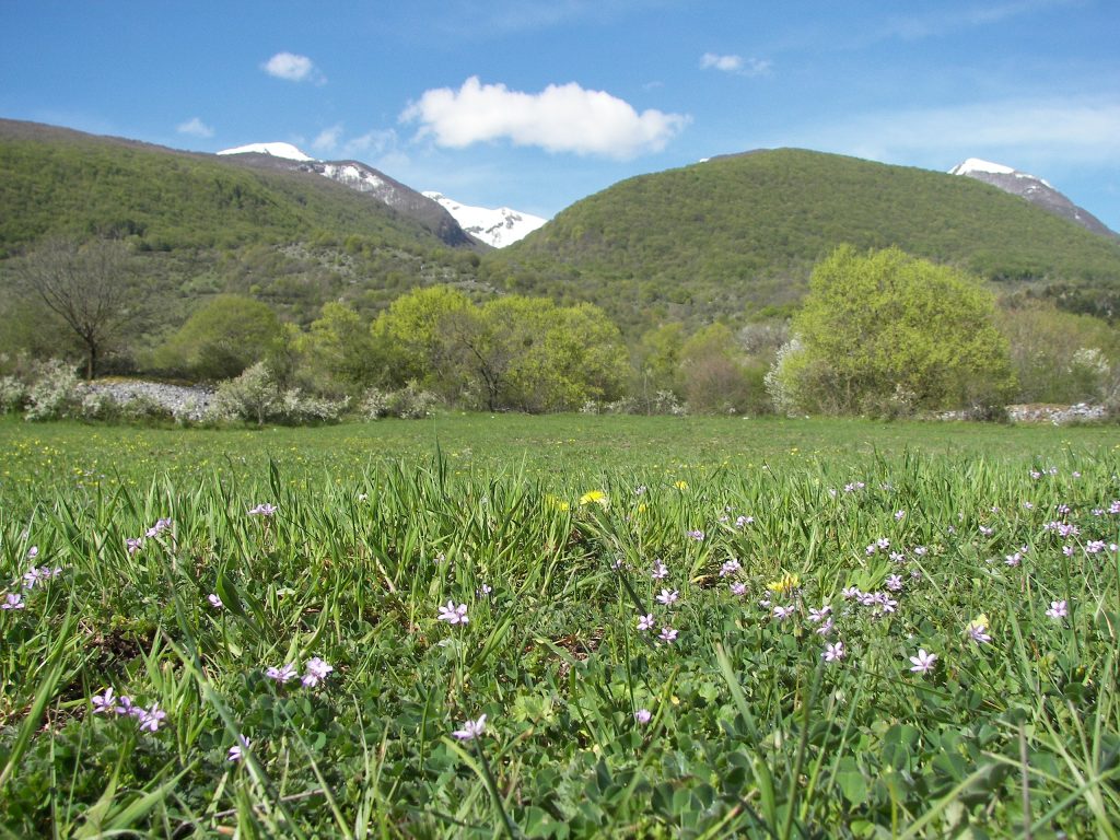 PNALM. Foto Wikimedia Commons @gian luca bucci