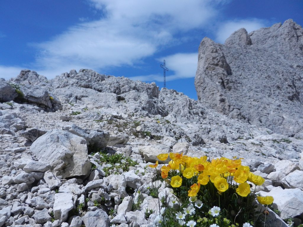 Passo Santner - Foto Wikimedia Commons @Maurizio Ceol