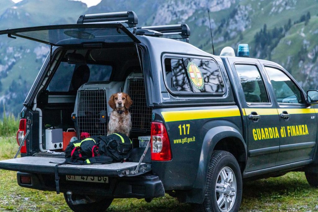 Squadre di ricerca di terra in partenza
- Vigili del fuoco permanenti di trento
-Soccorso alpino e speleologico trentino
- Guardia di finanza con le unità cinofile
- Centro addestramento alpino della polizia di Moena
- Carabinieri soccorso alpino
Canazei - Marmolada 07 luglio 2022
Ore 5.00 am - 8.30 am
Foto: Daniele Paternoster