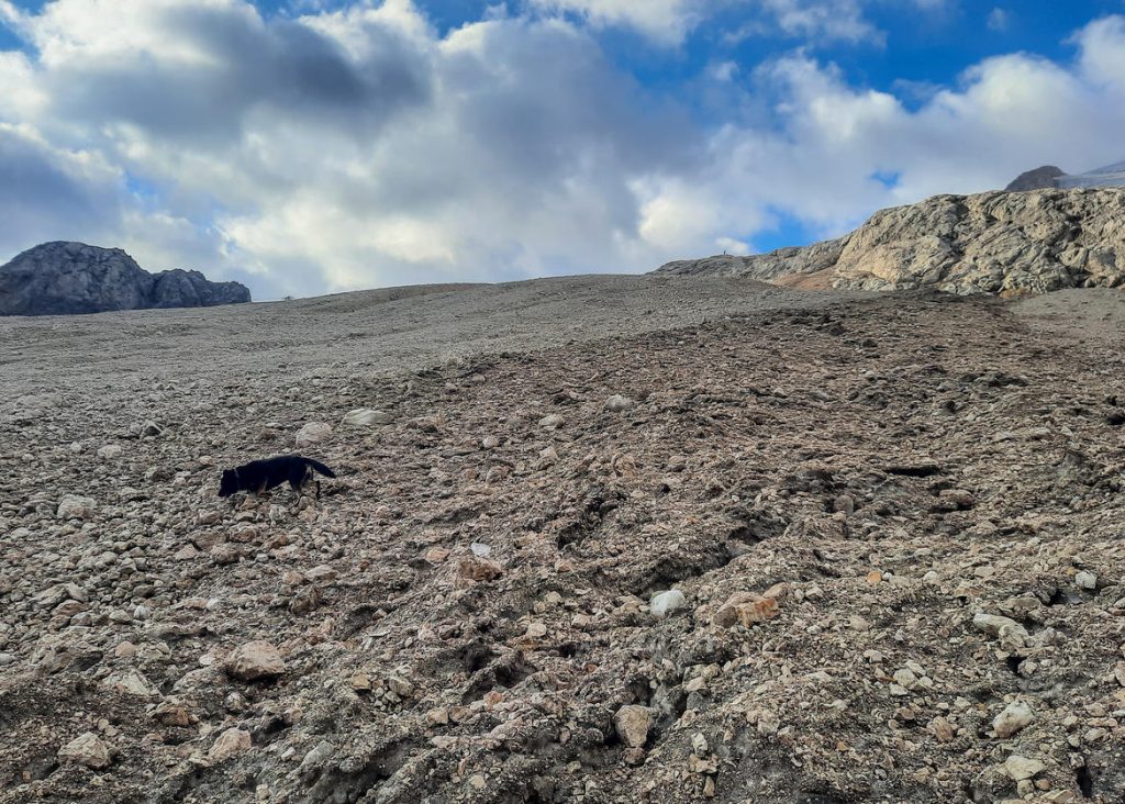 Squadre di ricerca di terra in partenza
- Vigili del fuoco permanenti di trento
-Soccorso alpino e speleologico trentino
- Guardia di finanza con le unità cinofile
- Centro addestramento alpino della polizia di Moena
- Carabinieri soccorso alpino
Canazei - Marmolada 07 luglio 2022
Ore 5.00 am - 8.30 am
Foto: Agostino Zortea (soccorritore)