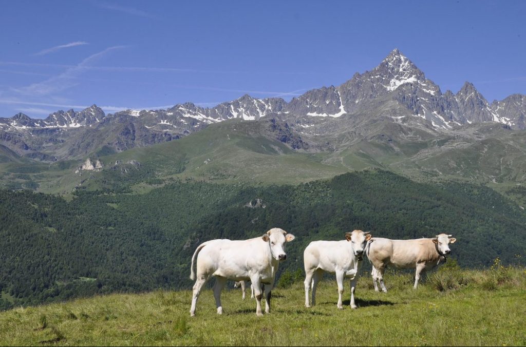 monviso, piemonte, linea verde