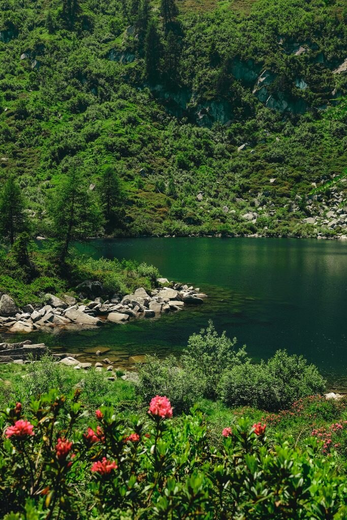 Val Rendena - Foto Unsplash @Cristina Gottardi