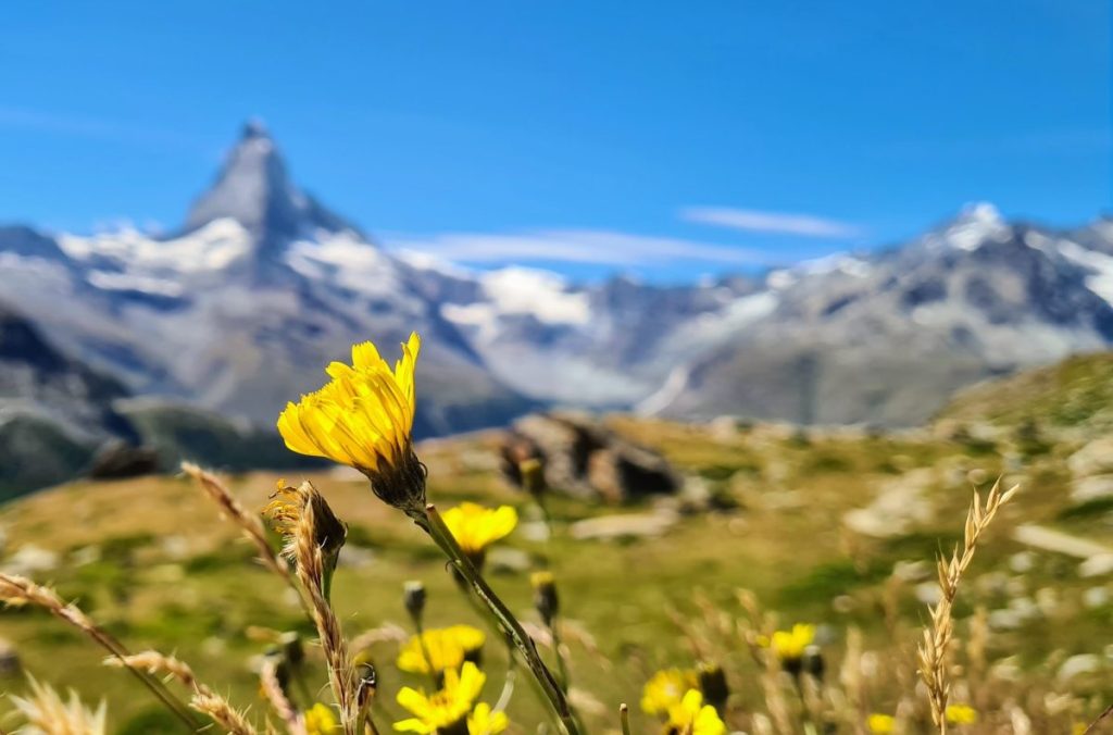 alpi, svizzera, cervino, zero termico