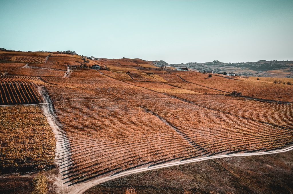 Monferrato - Foto Unsplash @Matthijs Lothmann