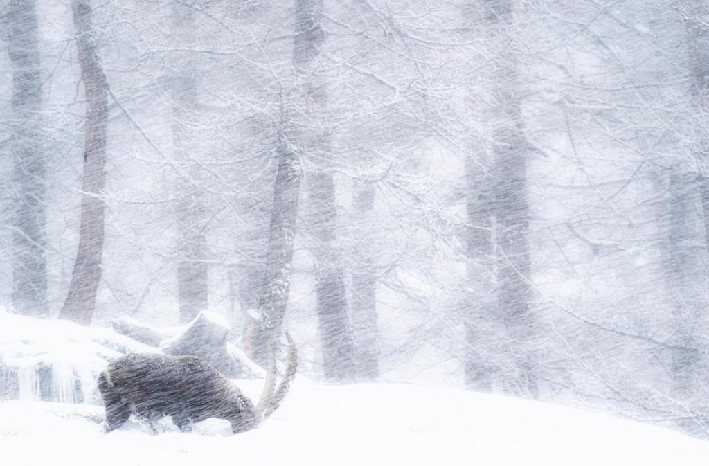 concorso, pngp, pnalm, fotografia