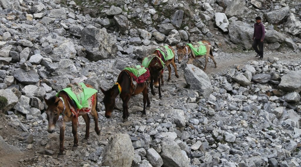 Langtang National Park - Foto ANSA (Credit Image: © Sunil Sharma/Xinhua via ZUMA Wire)