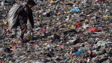 Photo of Emergenza rifiuti in Himalaya, un esempio virtuoso dal Langtang